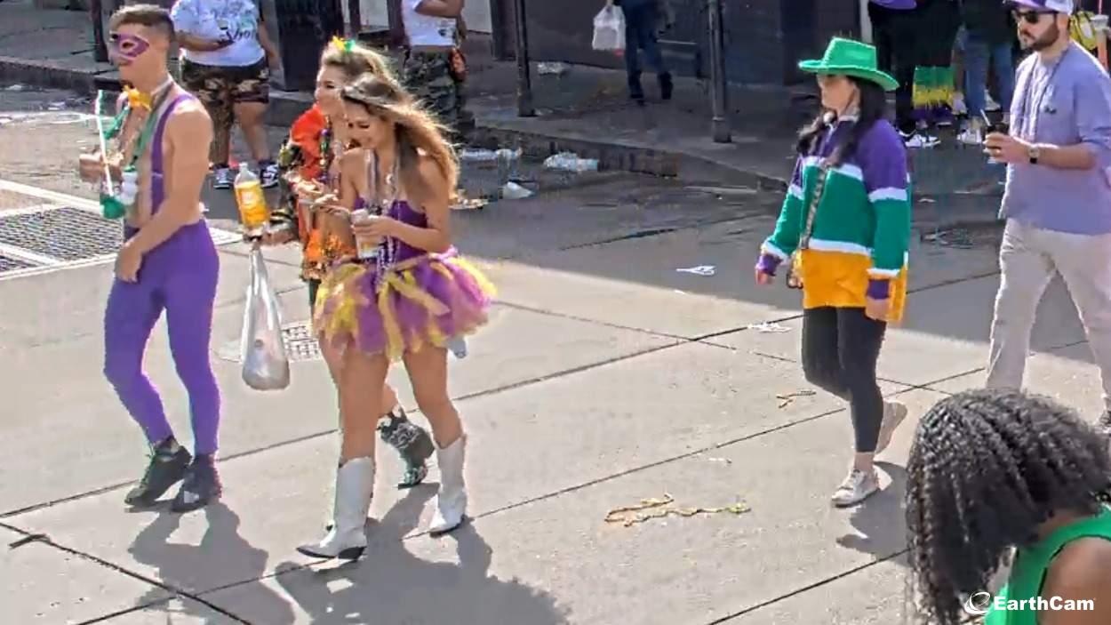 Mardi Gras Tradition Cats Meow Balcony Cam On Bourbon Street Page 6