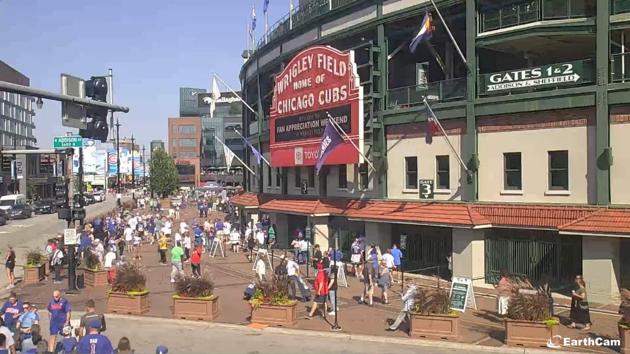 Bear cubs visit Chicago Cubs at spring training - Sports Illustrated