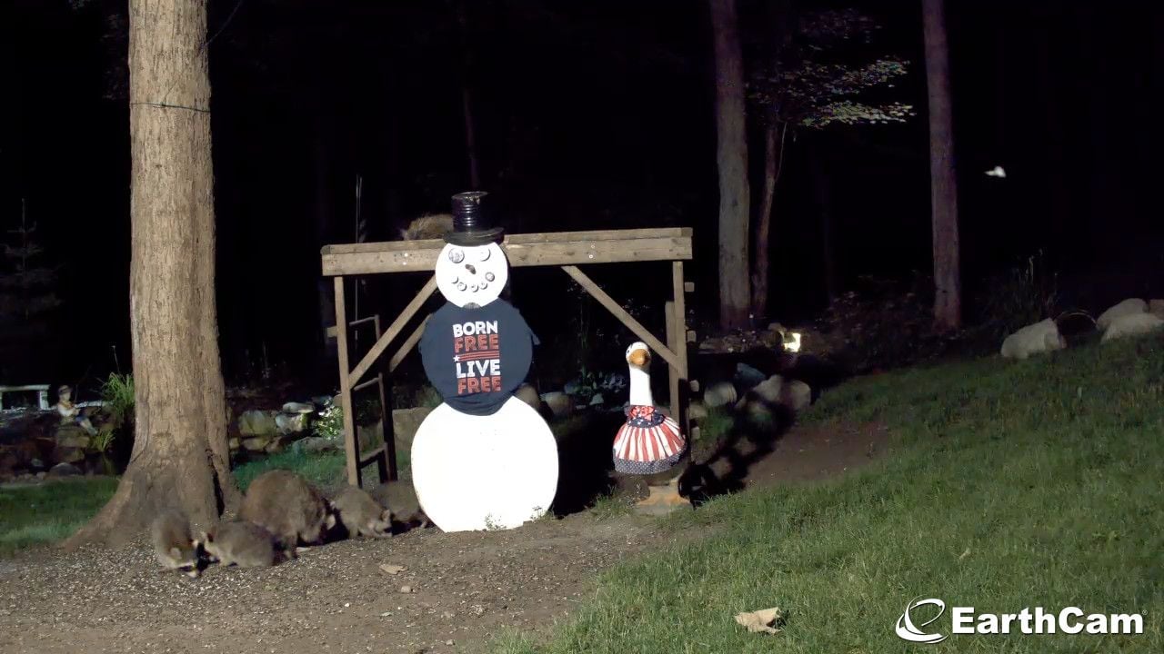 EarthCam - Snowman Cam