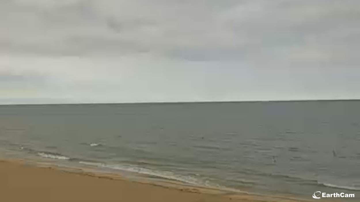 EarthCam - Lake Michigan Beach Cam