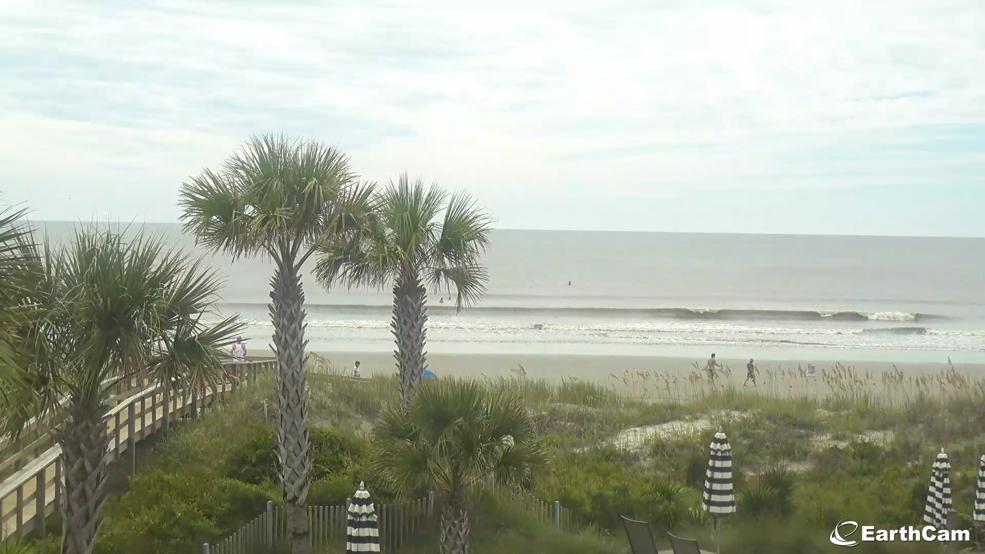 palms fire island webcam