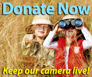 Keep our camera live!