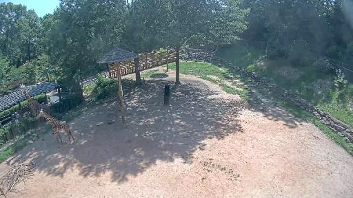Clip recorded at 16:00