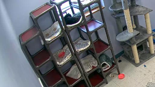 Clip recorded at 11:00