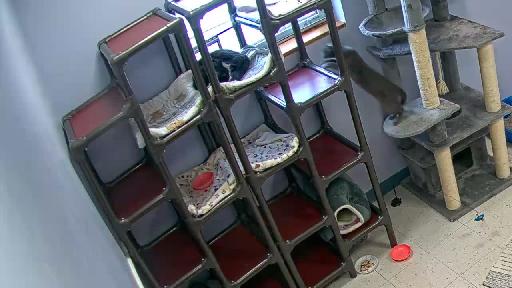 Clip recorded at 12:00