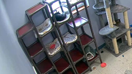 Clip recorded at 13:00