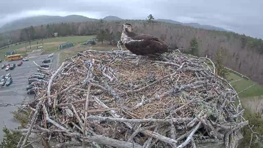 Clip recorded at 11:01