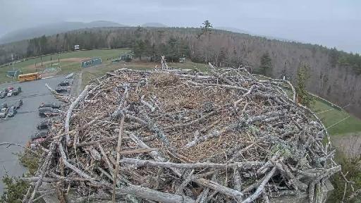 Clip recorded at 12:01