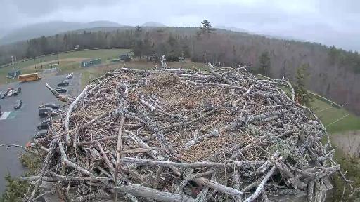 Clip recorded at 13:01