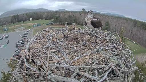 Clip recorded at 14:01