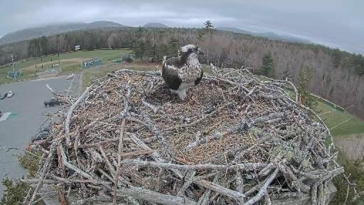 Clip recorded at 15:01