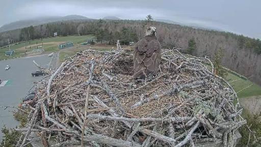 Clip recorded at 16:01