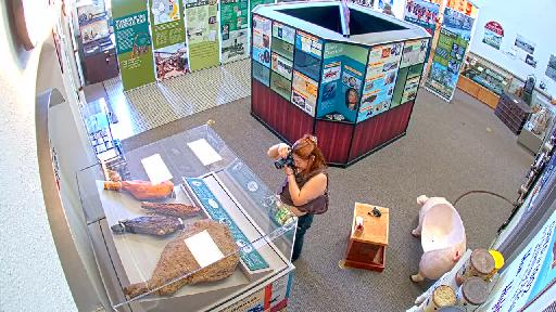 Clip recorded at 13:01