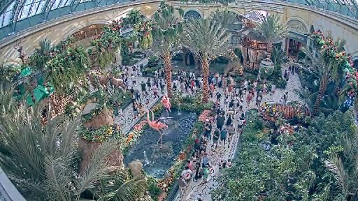 Clip recorded at 18:00
