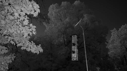 Archive 2026-06-13