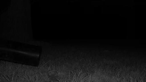 Clip recorded at 21:00
