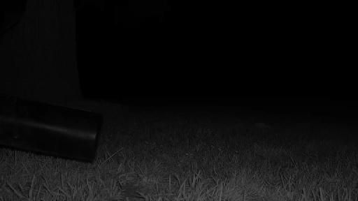 Clip recorded at 23:00