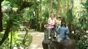 EarthCam: Bali Elephant Cam Trail Path