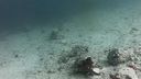 Sibenik - Martinska Underwater Cam