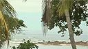 Playa Grande  Livecam