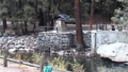 Yosemite National Park Bridge Webcam