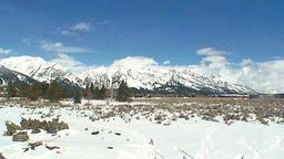 Jackson Hole Cam