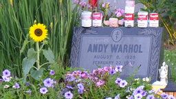 FigmentCam - Megapixel