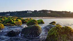 EarthCam: Port Jefferson Cam