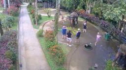 Bali Elephant Cam Trail Path