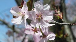 Live Network of Webcams and Streaming Video Cameras - EarthCam