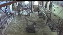 Marwell Zoo Cams
