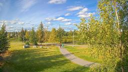 Fairbanks Cam