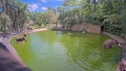 Bali Elephant Cam Bathing Pool