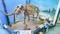 EarthCam: Museum of the Earth Cam