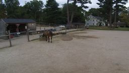 Unity Farm Sanctuary