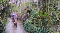 Bali Elephant Cam Trail Path