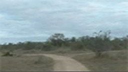 WildEarth.TV