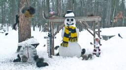Michigan Snowman Cam