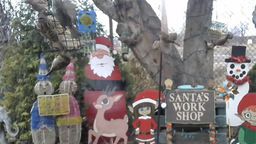 Holiday Critters Cam