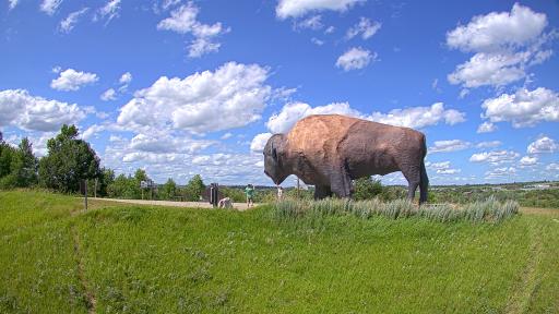 Buffalo Monument Cam