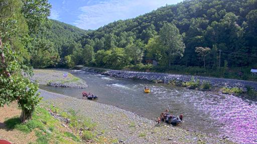 Pigeon River Cam