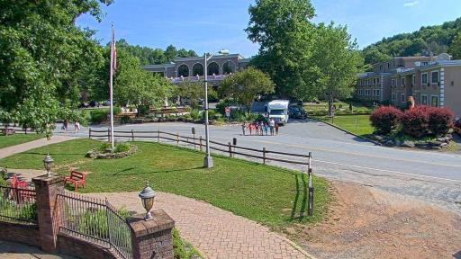 Callicoon Cam