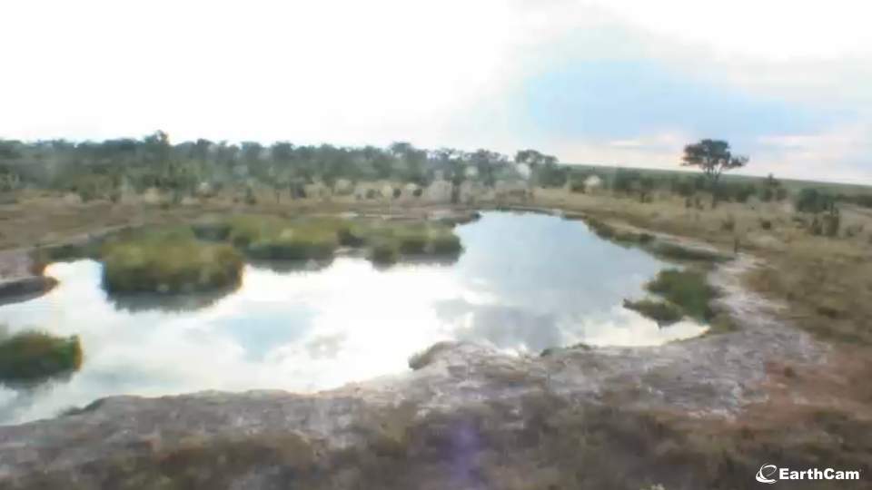 Visit A Regularly Frequented Waterhole And The Open Plains Of Africa With Live Streaming Webcam Views