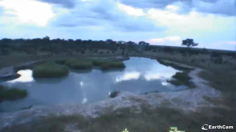 Visit A Regularly Frequented Waterhole And The Open Plains Of Africa With Live Streaming Webcam Views