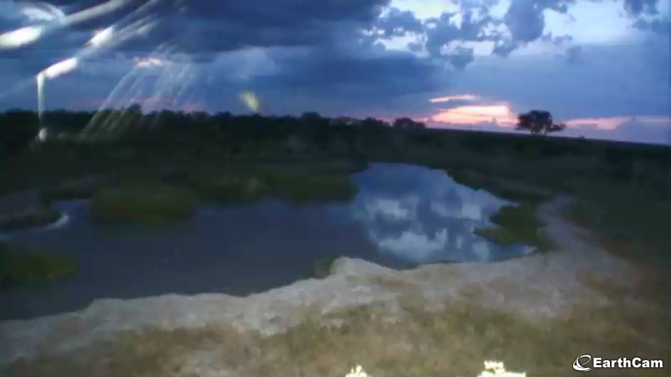 Visit A Regularly Frequented Waterhole And The Open Plains Of Africa With Live Streaming Webcam Views
