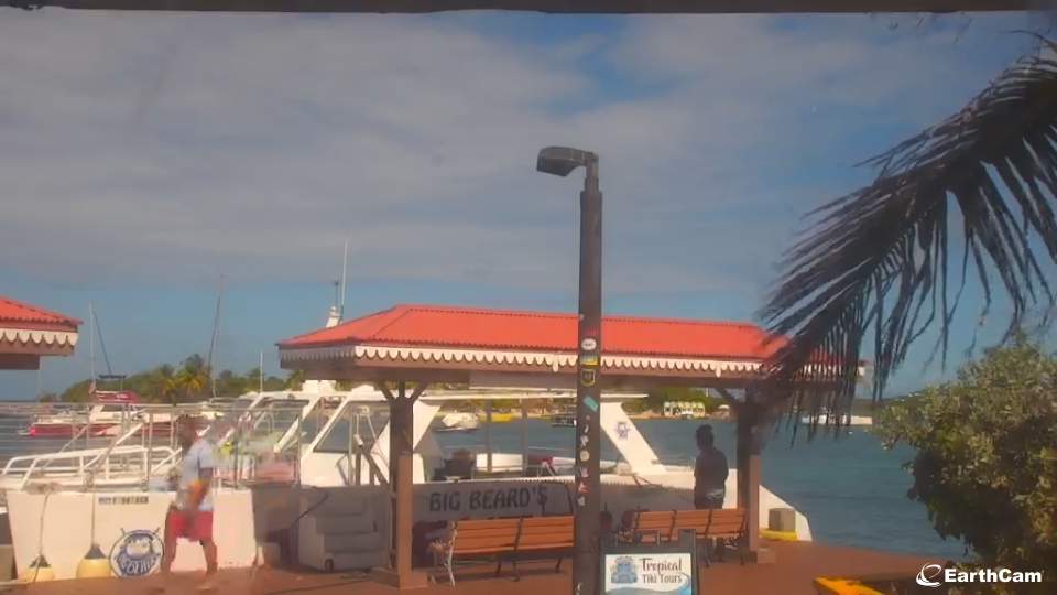 earthcam st croix