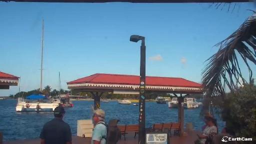 earthcam st croix