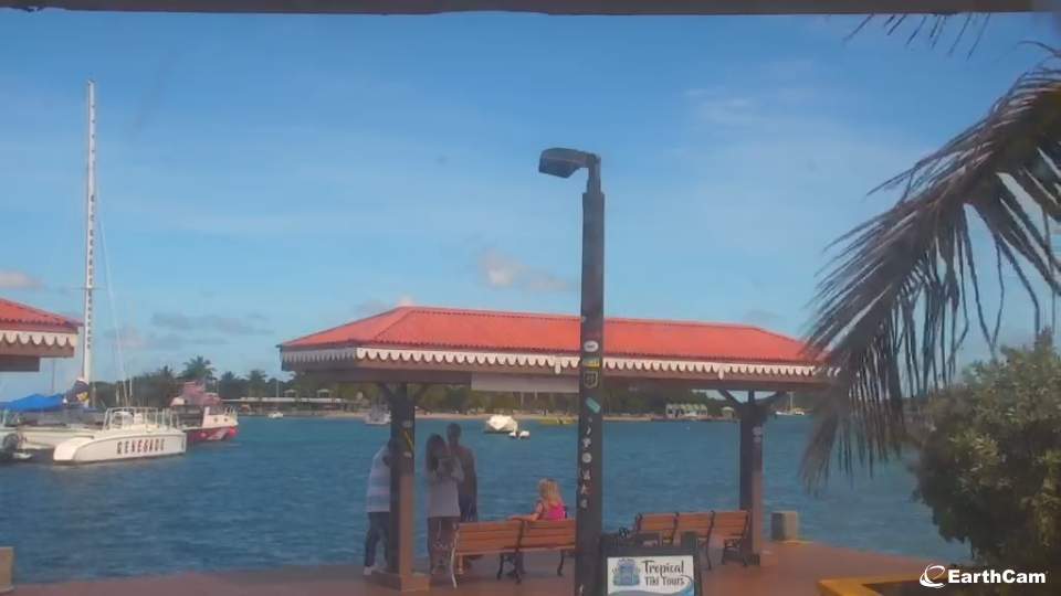 earthcam st croix