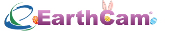 'Hoppy' Easter from EarthCam