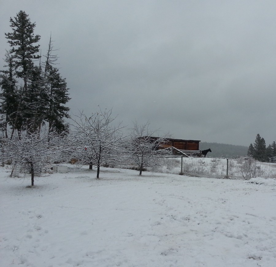 Lac La Hache, BC Canada